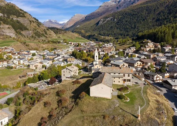 Fleurs Et Neige Lanslevillard